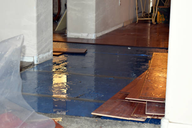 Professional Basement Water Removal technician working in Bridgehampton, NY